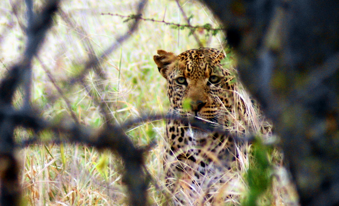 Ten jest prawdziwy. Serio.