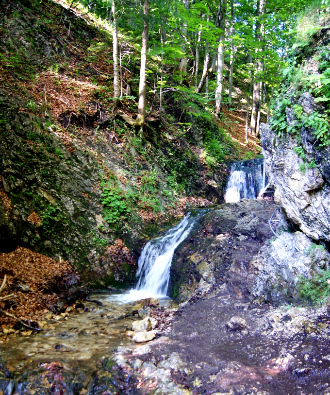 Horne Diery, plener zignorowany przez Holland